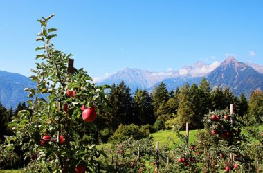 Jižní Tyrolsko, Foto: Pixabay.com