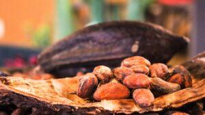 Kakaové boby, foto: pixabay