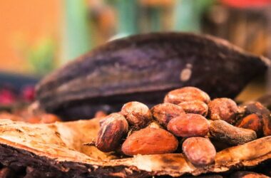 Kakaové Boby, Foto: Pixabay