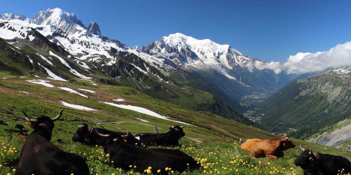 Mont Blanc, Alpy, foto: pixabay