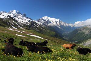 Mont Blanc, Alpy, Foto: Pixabay